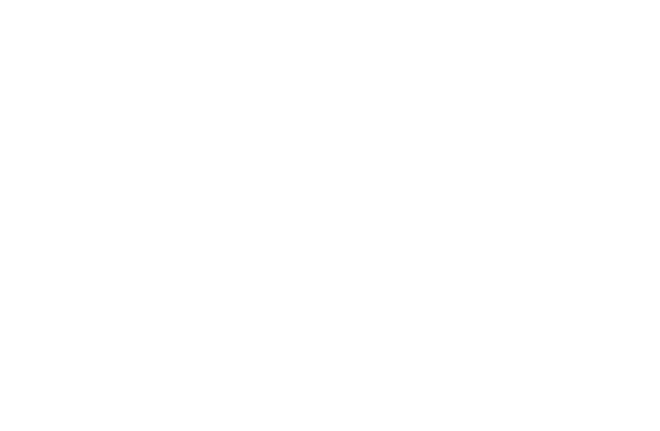 The Beach Vista Logo
