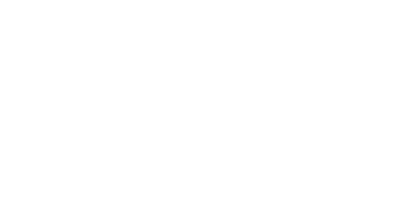 Nabni Logo White